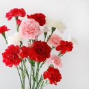 행복보청기 이미지