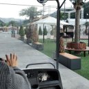 골드문 짐 이미지