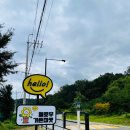 남솔농장 | [고양시 가든마켓] 꽃 구경부터 구매까지, 고양시 헬로우가든마켓