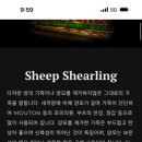 이프바인