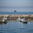 인천용현남초등학교자월분교장 이미지