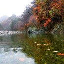 계곡&풍경 이미지