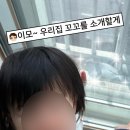 영암축협 한우프라자 이미지