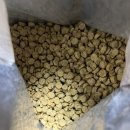 디어퍼피 이미지