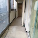 국화동성 이미지