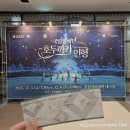 (공연) 국립발레단 <호두까기 인형> | 국립발레단 호두까기인형 후기 부산시민회관 박슬기 허서명 부산 발레 공연