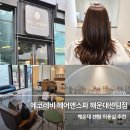MVG호텔 | 해운대 센텀 미용실 추천, 에코레비 헤어앤스파에서 실크보톡스 클리닉 받은 후기