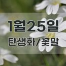 1월25일 탄생화 이미지