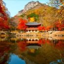 백양사 쌍계루 이미지