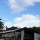 주동마을회관 이미지