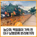 인흥농장 | 능소화, 배롱나무 꽃이 가득 핀 대구 남평문씨 본리세거지