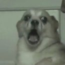 솔리테리 이미지