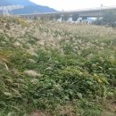 안내과의원 이미지