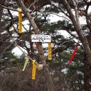 염동4 Daum카페