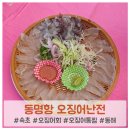 2025 동명항 오징어난전 시간 및 내돈내산 솔직후기