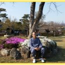 용궁다원 이미지