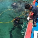 영덕수산 이미지