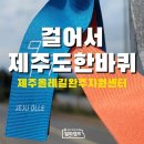 알파캠프