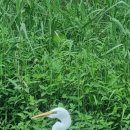 블로그&홈페이지제작 이미지