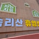 속리산 휴양센터 이미지