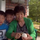 용준농장 이미지