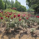 송도 해돋이공원 이미지