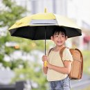 40℃ 불덩이 서울 / 서울 절반이 아스팔트-콘크리트 ‘열 저장고’… 난로처럼 공기 데워 이미지
