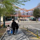 알뜰랜드 | [2026] 서울랜드 입장권 할인 무료주차 놀이기구 귀신동굴 후기