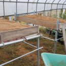 한일농장 이미지