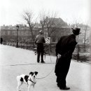 몽몽드(mon mon de) 이미지