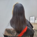 살롱드미지움