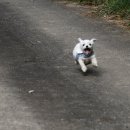 원동재로 이미지