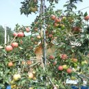 중근농장 이미지