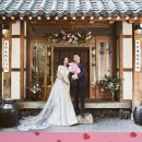 쪼꼬동물메디컬센터 이미지