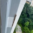 뽑기캐슬 이미지