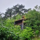 포레스트 리솜 이미지