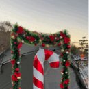 추암오토캠핑장 이미지