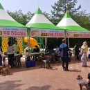 담안골근린공원 이미지