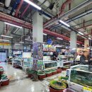 소래6호광장 | 목포/북항 횟집 추천 바다천국, 30가지가 넘는 사이드에 홀딱 반해버린 곳