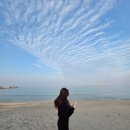 라반체 | 3월 첫날부터 강원도 여행 다녀오기이-☆