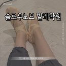 성인 요가 A | [서울 성동] 슬로우노브 발레 학원 || 내돈내산 성인발레 수업 후기 레벨 추천
