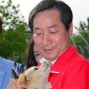 행복한 멍냥이 이미지