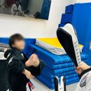 현중무관 백호 합기도 이미지