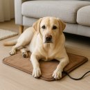 신진전자 의료기 | 반려동물 온수매트, 안전한 선택 가이드