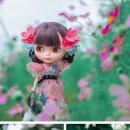 돌이가든 이미지