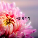 시간의가치
