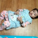 다루코리아 이미지