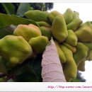 소금이야기민박 이미지