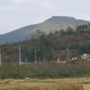 나의살던고향은 이미지