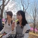 추파 머니투데이
